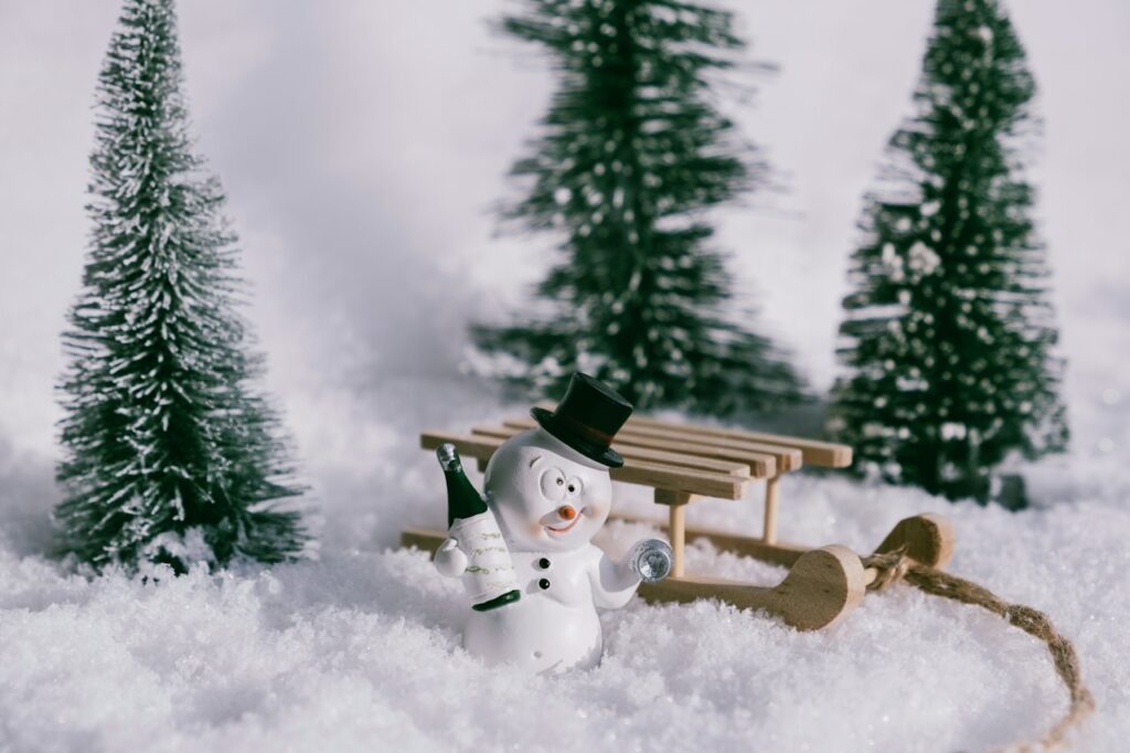 Winter Wonderland Fridge Vinyl Player